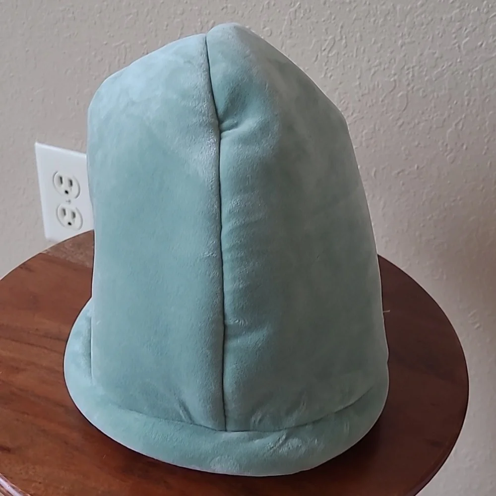 unknown hat up